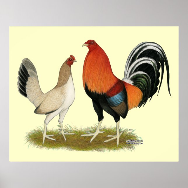 Gamefowl Wheatens Poster (Vorne)