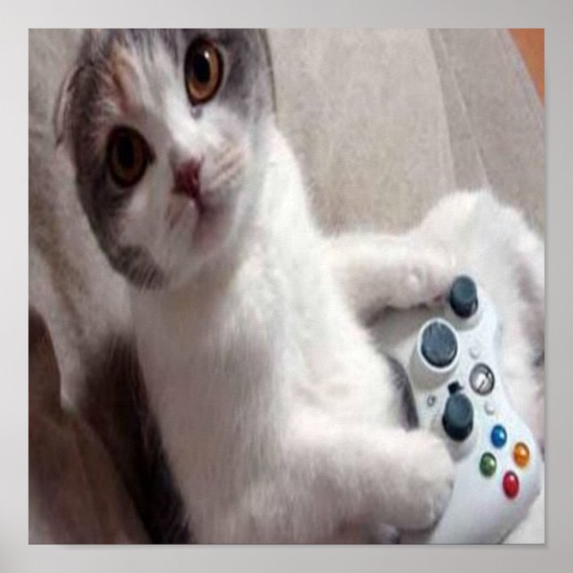 Gaming Cat - Poster (Vorne)
