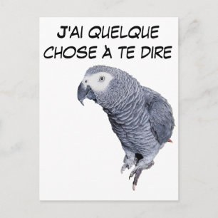 Gamme Perroquet - Gris du Gabon Postkarte
