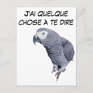 Gamme Perroquet - Gris du Gabon Postkarte