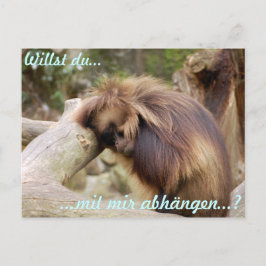 Gammelaffe Postkarte