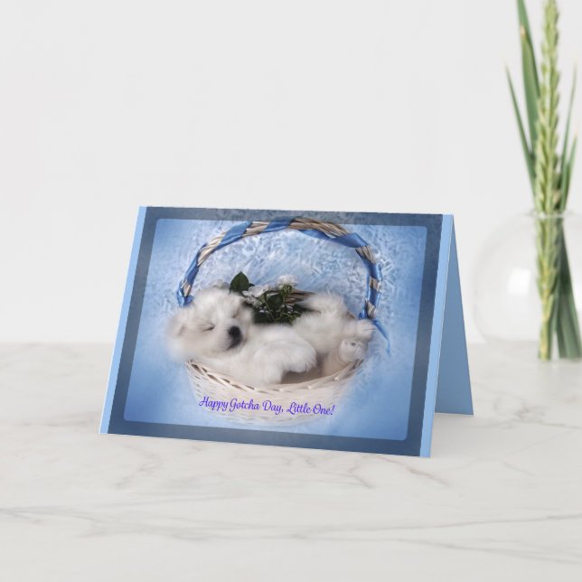 Gämse-Grußkarte "Gotcha" Feiertag Karte (Vorderseite)