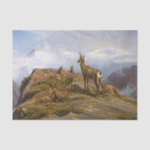 Gämse in den Bergen (von Rosa Bonheur)