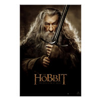 Gandalf Character Poster 1