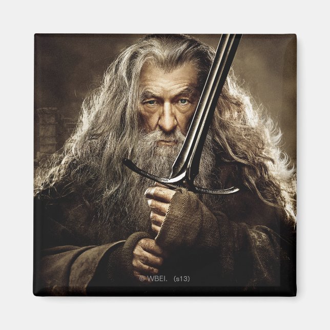 Gandalf Character Poster 1 Magnet (Vorne)