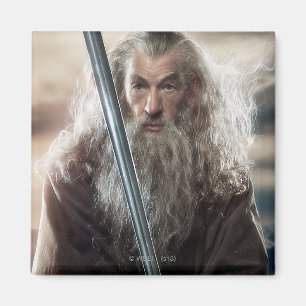 Gandalf Character Poster 2 Magnet