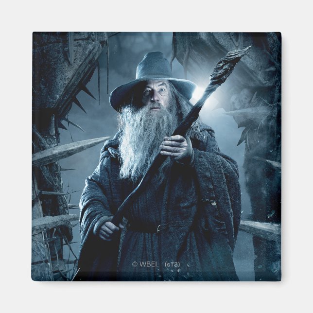 Gandalf Character Poster 3 Magnet (Vorne)