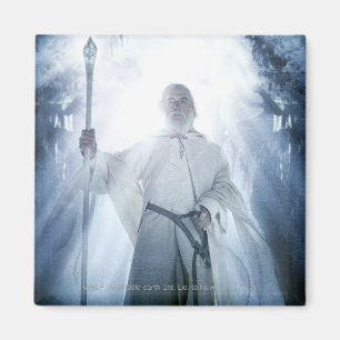 GANDALF™ Gaming Magnet