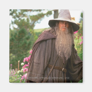 GANDALF™ mit Hut Magnet