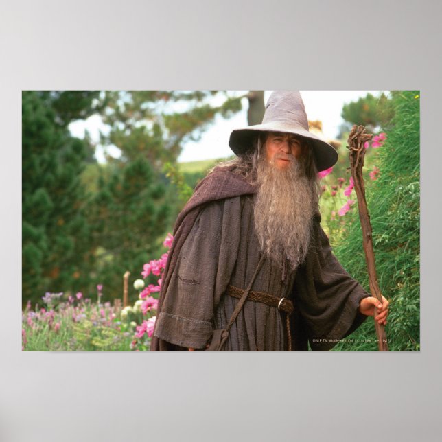 GANDALF™ mit Hut Poster (Vorne)