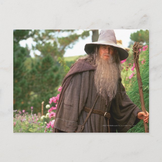 GANDALF™ mit Hut Postkarte (Vorderseite)