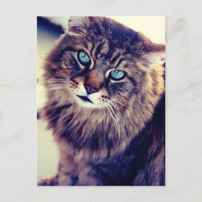 Gandalf Postkarte (Vorderseite)