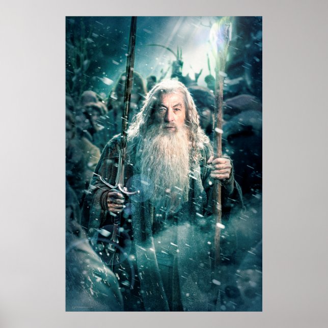 Gandalf The Gray Poster (Vorne)