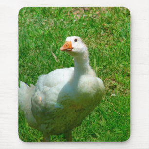 Gander Mousepad