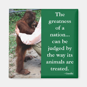 Gandhis Tierquotation Magnet