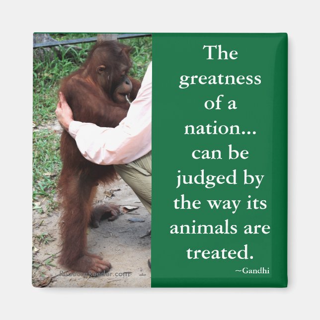 Gandhis Tierquotation Magnet (Vorne)