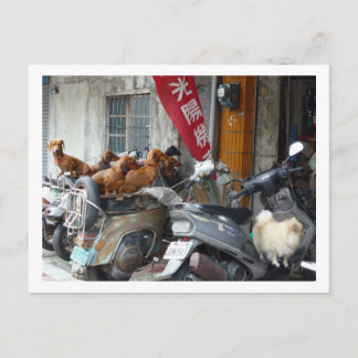 Gang der Dackeln nach Karte