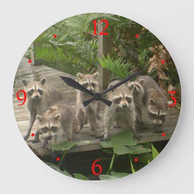 Gang der Raccoons> Tiermauer Große Wanduhr (Vorderseite)