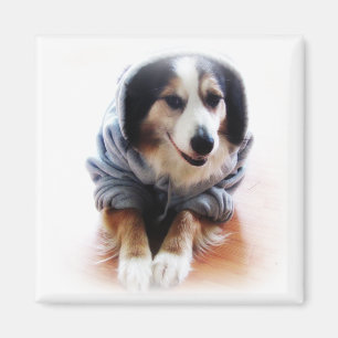 Gangsta Hundetragender Hoodie Magnet