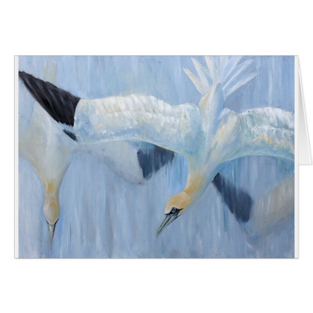 Gannets Tauchen einzigartige Geschenke für Sie (Vorderseite (Horizontal))