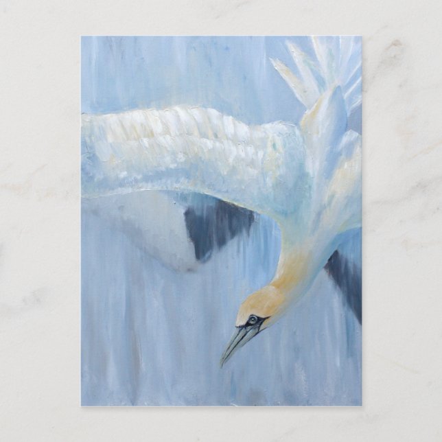 Gannets tauchende einzigartige Geschenke für Sie Postkarte (Vorderseite)