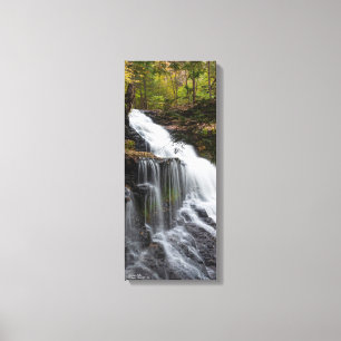 Ganoga Falls 10"x24"x.75" Leinwanddruck