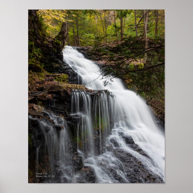 Ganoga Falls 11"x14" Poster (Vorne)