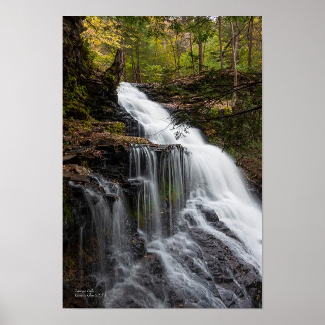 Ganoga Falls 13"x19" Poster (Vorne)