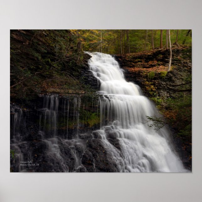 Ganoga Falls 14"x11" Poster (Vorne)