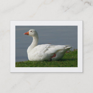 Gans (gerändert) visitenkarte