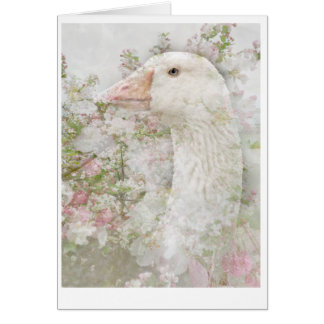 Gans in den Blüten