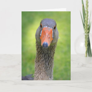 Gans in der Sonne Geburtstag Karte