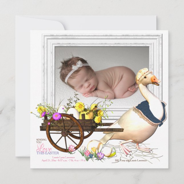 Gans mit Ei-Foto-Geburts-Mitteilung Einladung (Vorderseite)