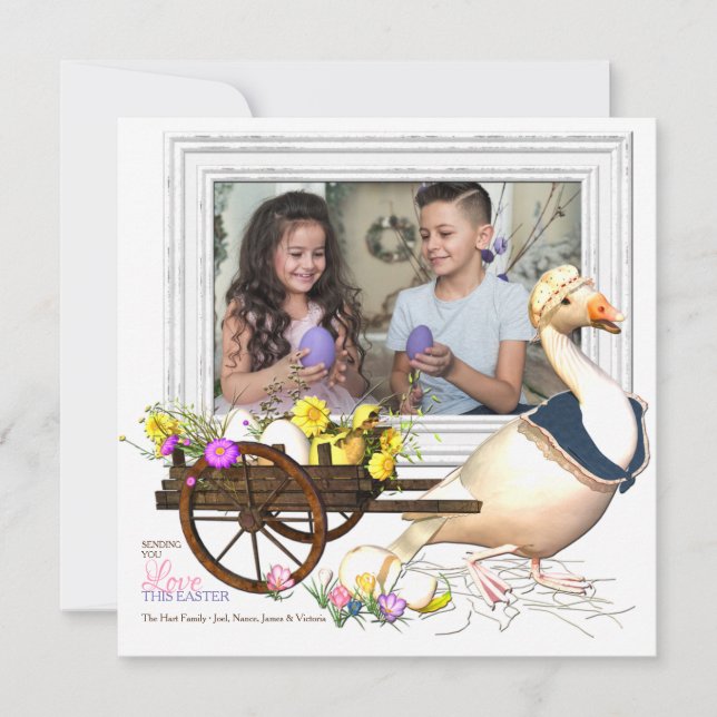 Gans mit Ei-Foto-Ostern-Karte Einladung (Vorderseite)