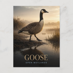 Gans offene Feuchtgebiete Wildtier TIER Postkarte