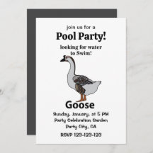 Gans sucht nach Wasser für schwimmende afrikanisch