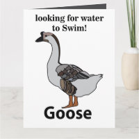 Gans sucht nach Wasser für schwimmende afrikanisch