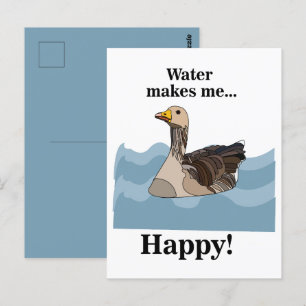 Gans Vogel Schwimmt Im Wasser Vogelbeobachter Postkarte