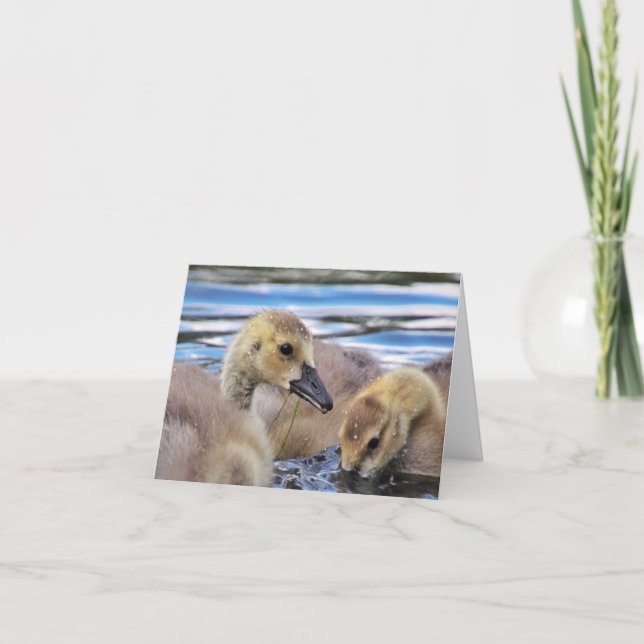 Gänschen-Mitteilungskarten Karte (Vorderseite)