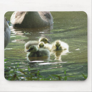 Gänschen Mousepad
