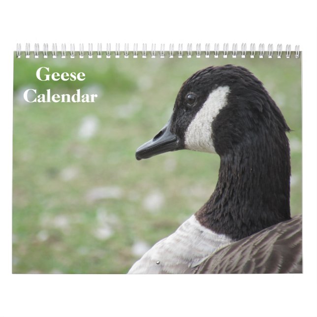 Gänse 2027 kalender (Titelbild)