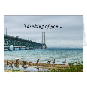 Gänse am Mighty Mac denken an dich