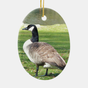 Gänse an der Küste, Wildtiere, Natur Keramik Ornament