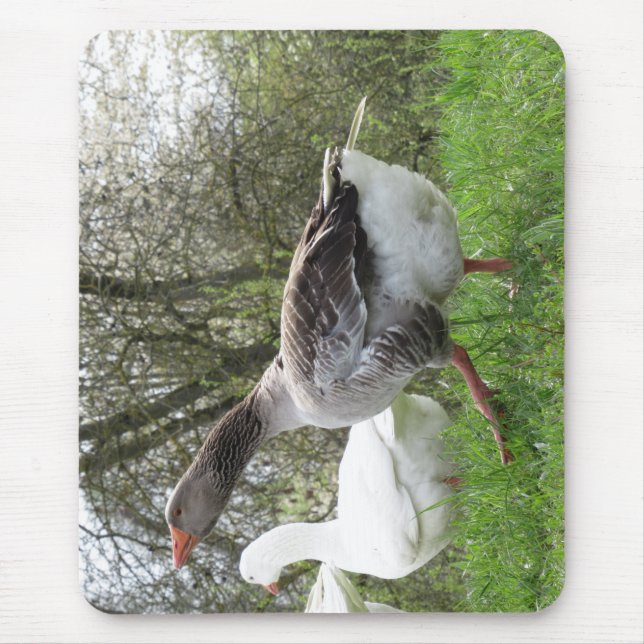 Gänse auf einer Wiese Mousepad (Vorne)