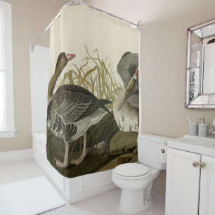 Gänse aus Audubon Birds of America Duschvorhang