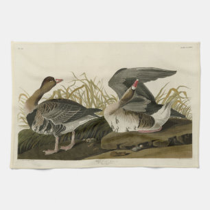 Gänse aus Audubon Birds of America Geschirrtuch