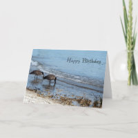 Gänse Birthday Card