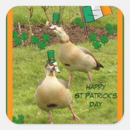 Gänse darstellend ein wenig irisch tanzen quadratischer aufkleber