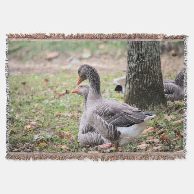 Gänse Decke (Vorderseite)
