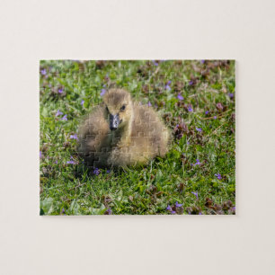 Gänse des Babys (Gänse) Puzzle
